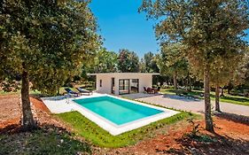 Villa David